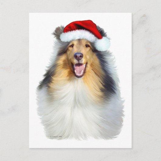 Cartes Pour Fêtes Annuelles Collie Christmas Père Noël (Devant)