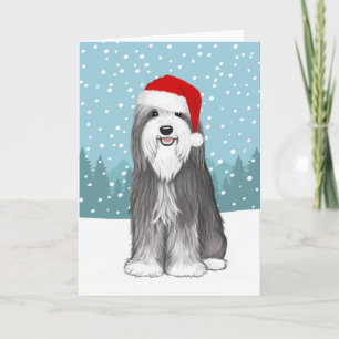 Cartes Pour Fêtes Annuelles Collie Portée Mignonne Chien Noël Personnalisé