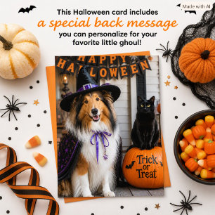 Cartes Pour Fêtes Annuelles Collie Sorcière et Chat Noir Halloween pour les En