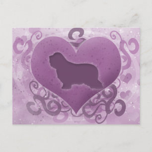 Cartes Pour Fêtes Annuelles Collie Valentine
