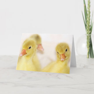 Cartes Pour Fêtes Annuelles Collier jaune flouffeux