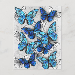 Cartes Pour Fêtes Annuelles Composition des White and Blue Butterflies