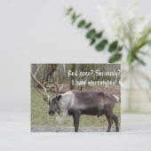 CARTES POUR FÊTES ANNUELLES CONCEPTION DE NOËL (Debout devant)