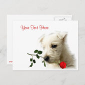 Cartes Pour Fêtes Annuelles Conception de Westie Red Rose Valentin (Devant / Derrière)