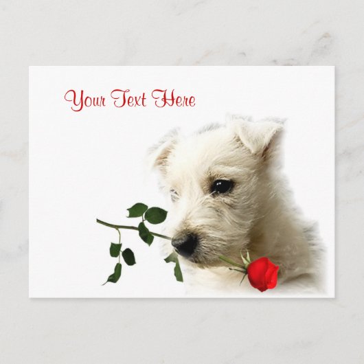 Cartes Pour Fêtes Annuelles Conception de Westie Red Rose Valentin (Devant)