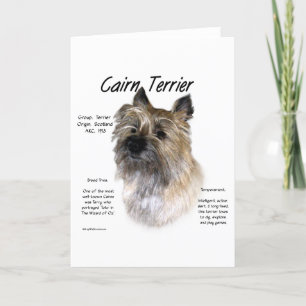 Cartes Pour Fêtes Annuelles Conception d'histoire de Terrier de cairn