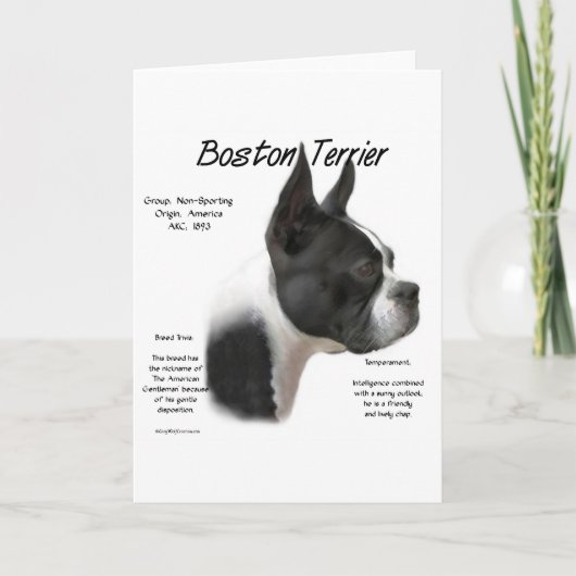 Cartes Pour Fêtes Annuelles Conception historique de Boston Terrier (Devant)