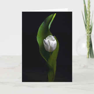 Cartes Pour Fêtes Annuelles Conceptions de tulipe
