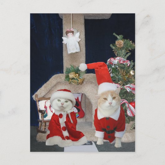 Cartes Pour Fêtes Annuelles Condo de Noël marrant/mignon (Devant)