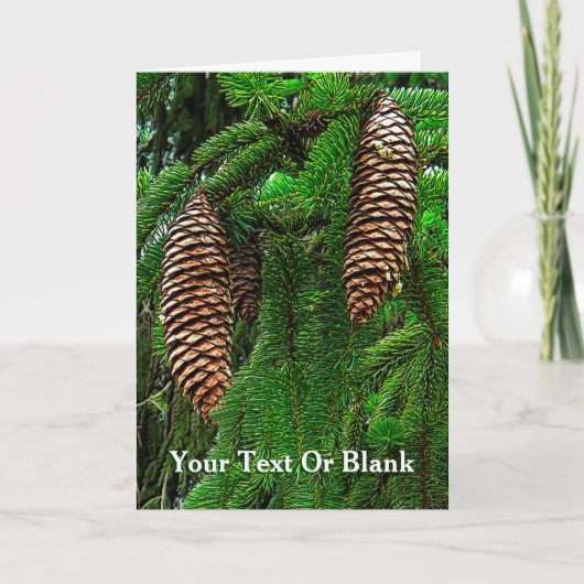 Cartes Pour Fêtes Annuelles Cônes Et Aiguilles (Devant)