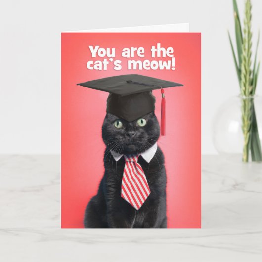 Cartes Pour Fêtes Annuelles Congratulations Graduate Cat in Graduation Cap (Devant)