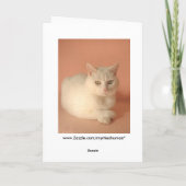 Cartes Pour Fêtes Annuelles Contentement PURRRR (Dos)