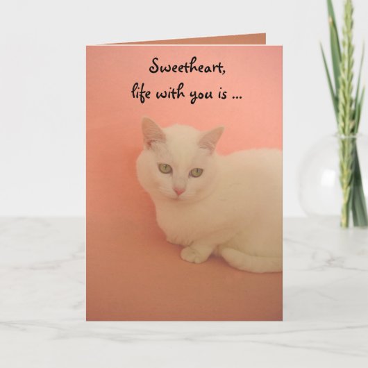Cartes Pour Fêtes Annuelles Contentement PURRRR (Devant)