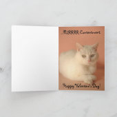 Cartes Pour Fêtes Annuelles Contentement PURRRR (Intérieur)