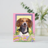 Cartes Pour Fêtes Annuelles Cookies d'oeufs de Pâques - Beagle (Debout devant)
