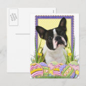 Cartes Pour Fêtes Annuelles Cookies d'oeufs de Pâques - Boston Terrier (Devant / Derrière)