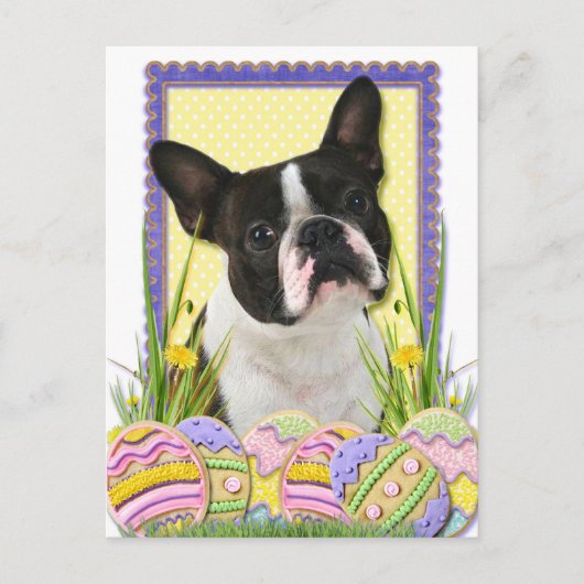 Cartes Pour Fêtes Annuelles Cookies d'oeufs de Pâques - Boston Terrier (Devant)
