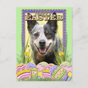 Cartes Pour Fêtes Annuelles Cookies d'oeufs de Pâques - Chien de bétail austra