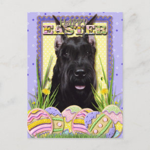 Cartes Pour Fêtes Annuelles Cookies d'oeufs de Pâques - Schnauzer