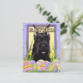 Cartes Pour Fêtes Annuelles Cookies d'oeufs de Pâques - Schnauzer (Debout devant)