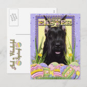 Cartes Pour Fêtes Annuelles Cookies d'oeufs de Pâques - Schnauzer (Devant / Derrière)