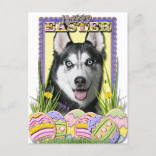 Cartes Pour Fêtes Annuelles Cookies d'oeufs de Pâques - Sibérie Husky