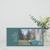 Cartes Pour Fêtes Annuelles Coopers Hawk (Debout devant)