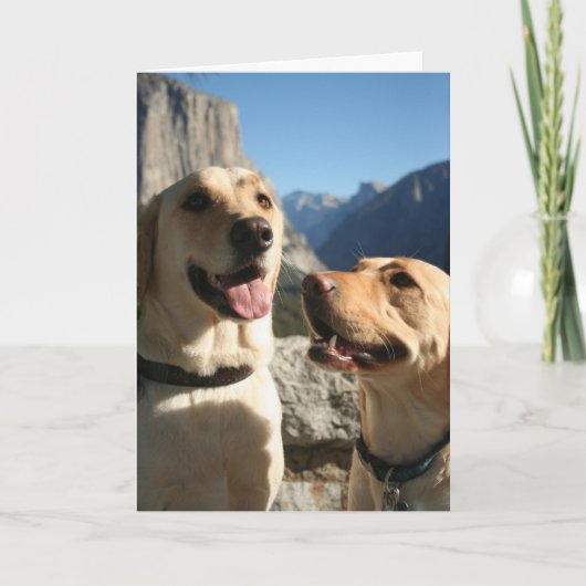 Cartes Pour Fêtes Annuelles Copie de Dogs_TunnelView (Devant)