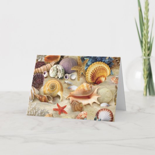 Cartes Pour Fêtes Annuelles Coques de mer sur la plage (Devant)