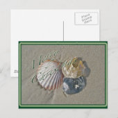 Cartes Pour Fêtes Annuelles Coquillages Joyeux Noël (Devant / Derrière)