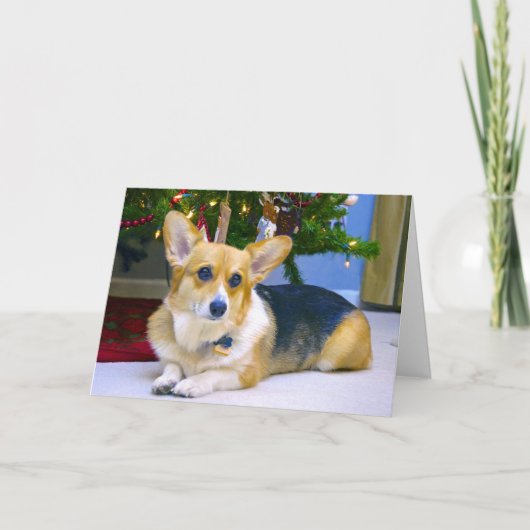 Cartes Pour Fêtes Annuelles Corgi doux de Noël (Devant)