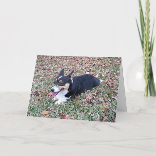 Cartes Pour Fêtes Annuelles Corgi Thanksgiving (Devant)