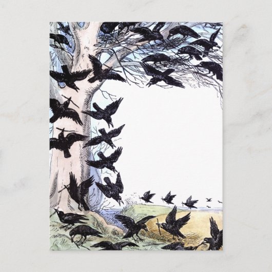 Cartes Pour Fêtes Annuelles Corneilles (Devant)