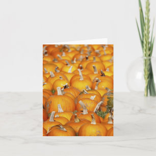 Cartes Pour Fêtes Annuelles Correction de citrouille