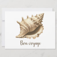 Coteau/plage/coquillage nautique
