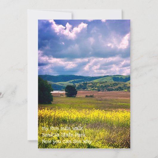 Cartes Pour Fêtes Annuelles coucher de soleil (Devant)