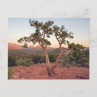 Cartes Pour Fêtes Annuelles Coucher de soleil sur Lovers Knoll à Sedona