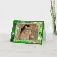 Cougar Christmas Greeting Card