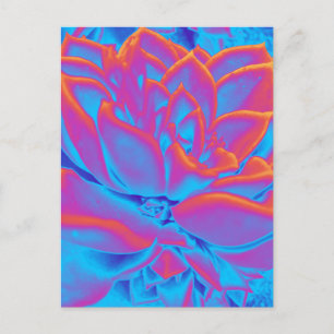 Cartes Pour Fêtes Annuelles Couleur arc-en-ciel plante Succulent