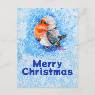 Cartes Pour Fêtes Annuelles Couleur d'eau douce Robin de Noël personnalisable