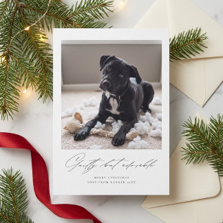 Cartes Pour Fêtes Annuelles Coupable Mais Adorable | Photo de Chien Drôle de N