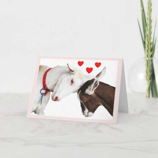 Cartes Pour Fêtes Annuelles Couples de chèvre de Valentine (Devant)