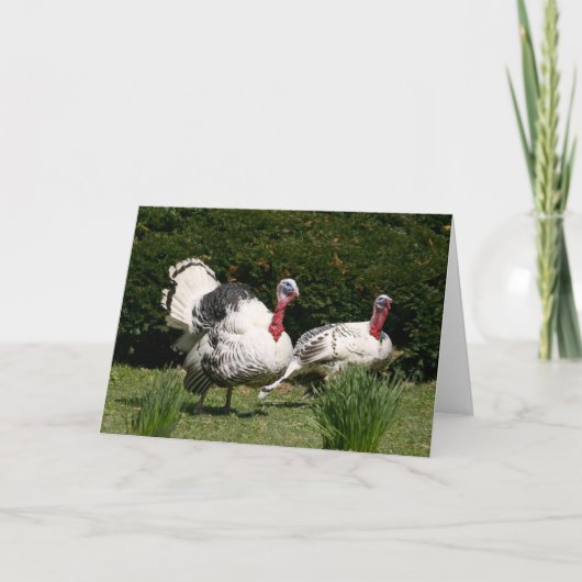 Cartes Pour Fêtes Annuelles Couples de la Turquie (Devant)
