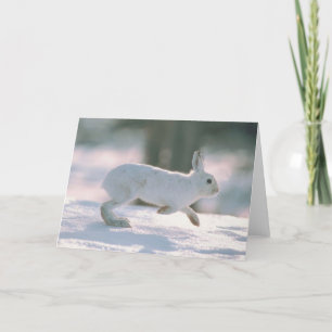 Cartes Pour Fêtes Annuelles Coups de lapin blanc