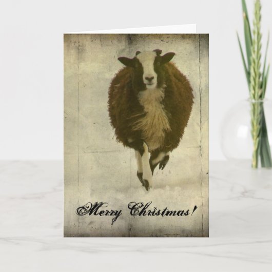 Cartes Pour Fêtes Annuelles Courir des Lambchops, Joyeux Noël (Devant)