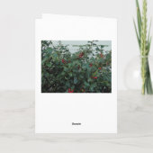 Cartes Pour Fêtes Annuelles Couronne de Noël à la porte (Dos)