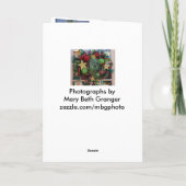 Cartes Pour Fêtes Annuelles Couronnes de Noël (Dos)