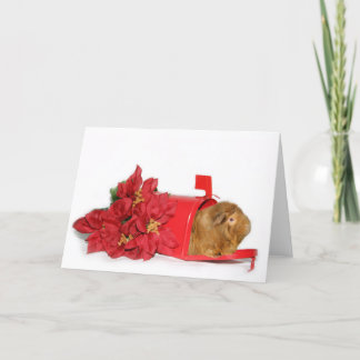 Cartes Pour Fêtes Annuelles Courrier de Noël de cobaye