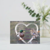 Cartes Pour Fêtes Annuelles Cours de Mallards (Debout devant)