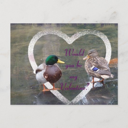 Cartes Pour Fêtes Annuelles Cours de Mallards (Devant)